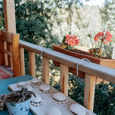Fascinating Bungalow With Shared Pool Surrounded By Nature In *